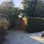 City and Town Landscaping Ltd