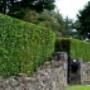 City and Town Landscaping Ltd