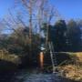 City and Town Landscaping Ltd