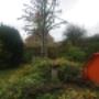 City and Town Landscaping Ltd