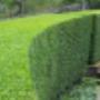 City and Town Landscaping Ltd
