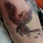 Phoenix Tattoo