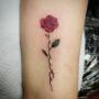 Rose Tattoo
