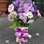 Aromatic Bouquet