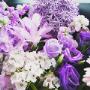 Purple Dreams