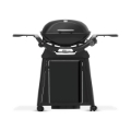 Weber Q2200 N Gas BBQ