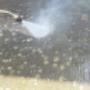 Pressure Washing
