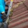 Gutter Cleaning