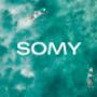 SOMY Visual Identity and Website