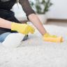 Domestic Carpet Cleaning Services