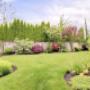 Evergreen Tree and Gardening Services_2