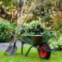 Gardening Services_ Dublin_ South Leinster - Evergreen_2