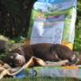 Dog-food-Ireland.jpg