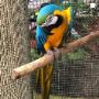 Kinsealy Pet Store