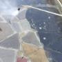 Patio Cleaning, Paving Cleaning, Pressure Washing Services