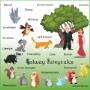 Galway Fairytales Characters of The Merlin Woods Series and Topics Covered