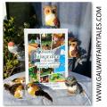 Galway Fairytales Compilation Book