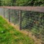 Horse Fence