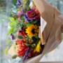 Organic fresh flowers grown from seed in Wexford