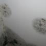 Condensation