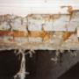 Dry / Wet Rot