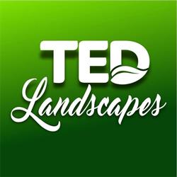 Ted Landscapes