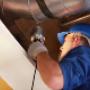 Pest Proofing