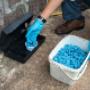 Rat Exterminators in Dublin