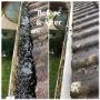 Gutter cleaning service
