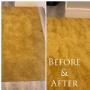 Rug cleaning service