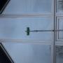 Window cleaning service