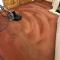 Carpet-cleaning