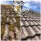 Roof-cleaning-service