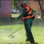 Garden Maintenance
