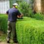 Garden Maintenance