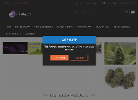 The Funky Skunk's website