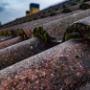 Roof Cleaning In Cork