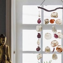 Bio Energy Healing Dublin