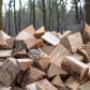 Logs