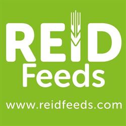Reid Feeds