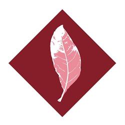 Bell Architects Ltd