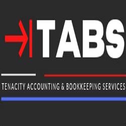 The Tenacity Accounting and Bookkeeping Services
