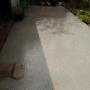 All Star Roof Cleaning