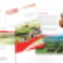 Corby Rock collateral design