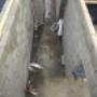 Roof Repair New Roofs Guttering services Fascia and Soffits Chimney Repairs Exterior painting Flat Roofs