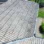 Roof Repair New Roofs Guttering services Fascia and Soffits Chimney Repairs Exterior painting Flat Roofs