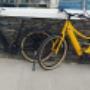 Our new e-bikes for hire