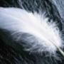 Angel Healing