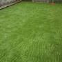 Artificial Grass and Turfing Services Galway