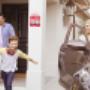 Security Systems Supplier